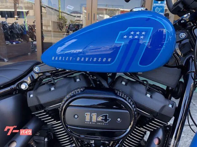 HARLEY-DAVIDSON FXBBS 114 2022 — миниатюра 4