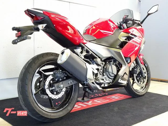 Kawasaki Ninja 250/ABS/EX250P / 2022 — миниатюра 5