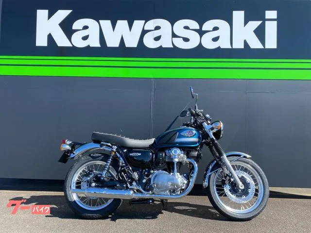 Kawasaki W800 2026 2026 — фото 1, купить с доставкой в Москву
