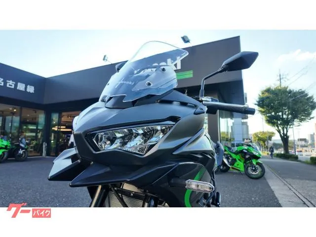 Kawasaki Versys 650 ETC 2025 — миниатюра 3