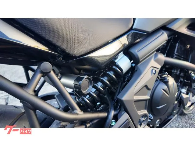 Kawasaki Versys 650 ETC 2025 — миниатюра 4