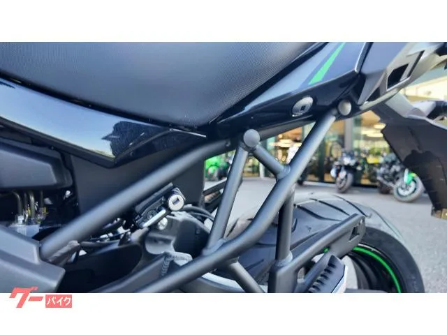 Kawasaki Versys 650 ETC 2025 — миниатюра 5