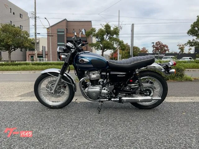 Kawasaki W800 ETC 2026 — миниатюра 2