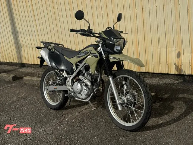 Kawasaki KLX230 S 2022 — фото 1, купить с доставкой в Москву