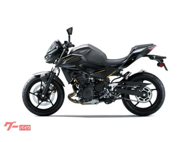 Kawasaki Z500 2026 — миниатюра 2