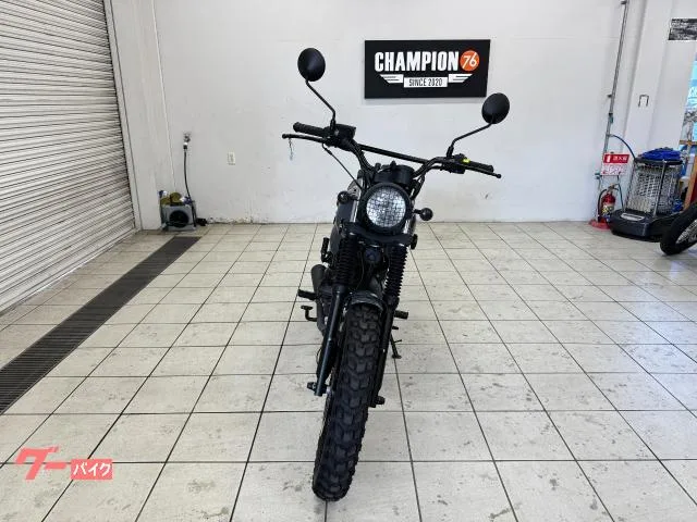 MUTT 250 2023 — миниатюра 4