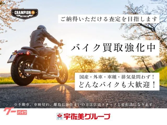 HARLEY-DAVIDSON FXBR NESS ABS LED ETC2.0 2023 — миниатюра 3