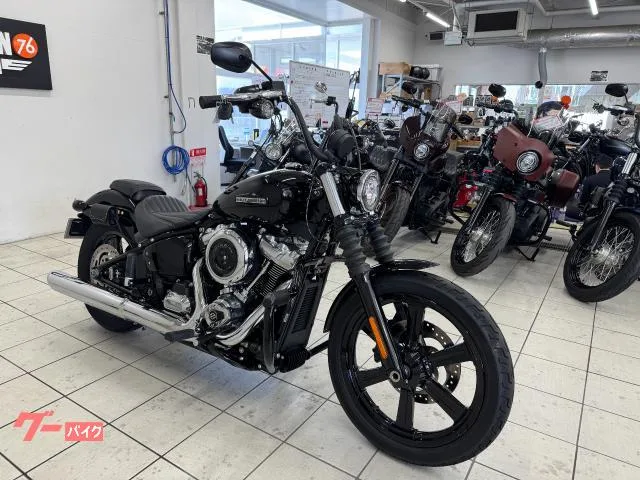 HARLEY-DAVIDSON FXBB 117 USBC LED ETC2.0 2025 — миниатюра 2