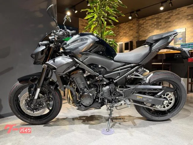 Kawasaki Z900 ETC USB 2026 — миниатюра 2