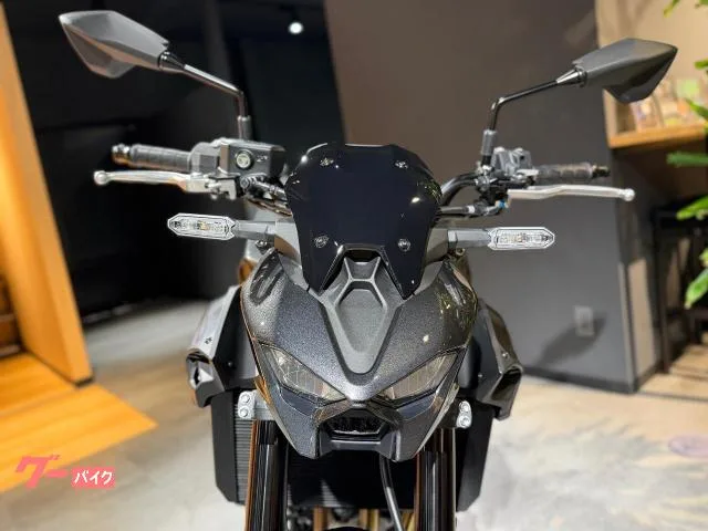 Kawasaki Z900 ETC USB 2026 — миниатюра 4