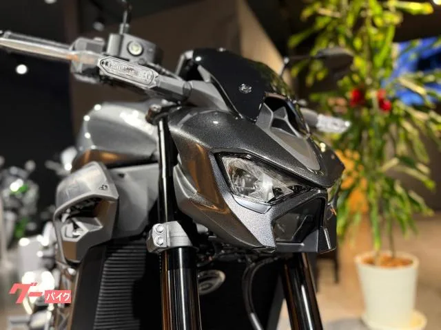 Kawasaki Z900 ETC USB 2026 — миниатюра 5
