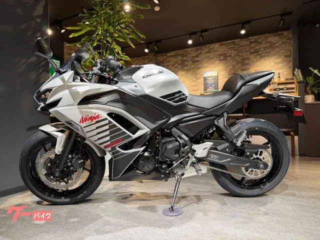 Kawasaki Ninja 650 2026 — миниатюра 2