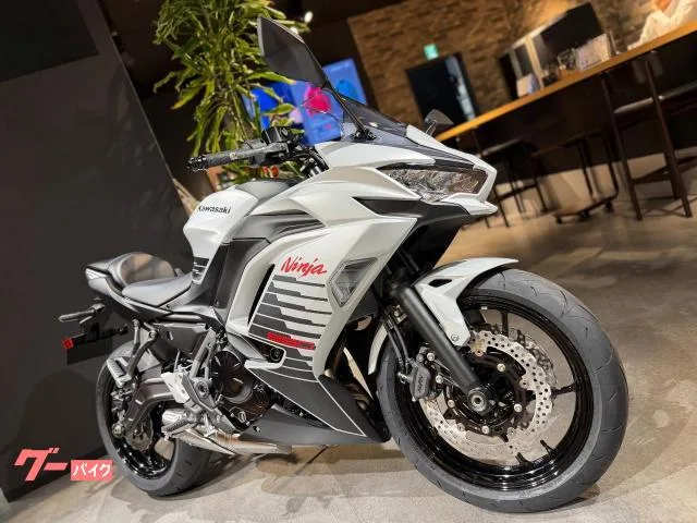 Kawasaki Ninja 650 2026 — миниатюра 3