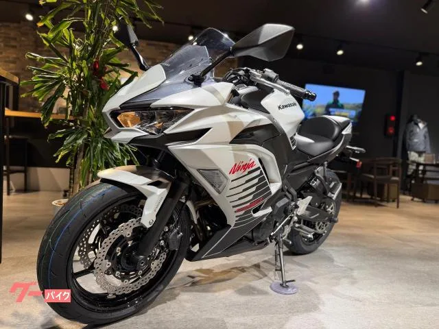Kawasaki Ninja 650 2026 — миниатюра 4