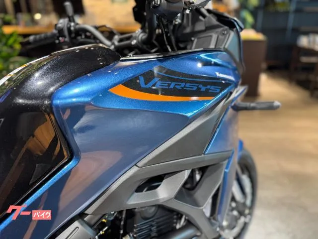 Kawasaki Versys 650 2026 — миниатюра 3