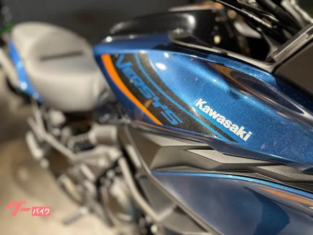 Kawasaki Versys 650 2026 — миниатюра 5