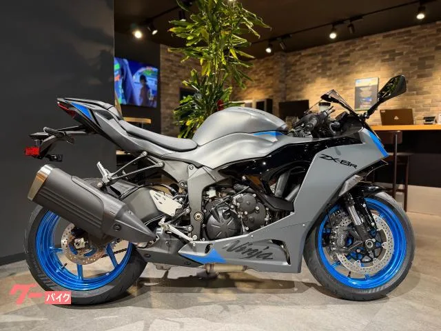 Kawasaki Ninja ZX-6R 2026 2026 — фото 1, купить с доставкой в Москву