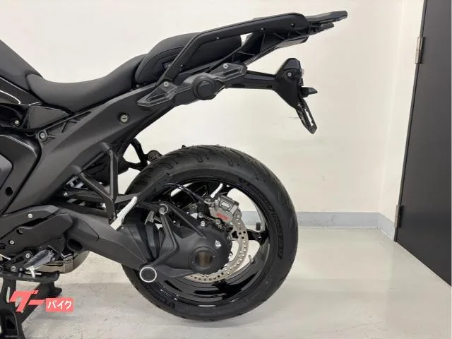 BMW R1300RS 2025 — миниатюра 3