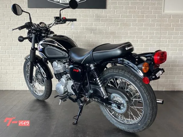 Kawasaki S1 2025 — миниатюра 3