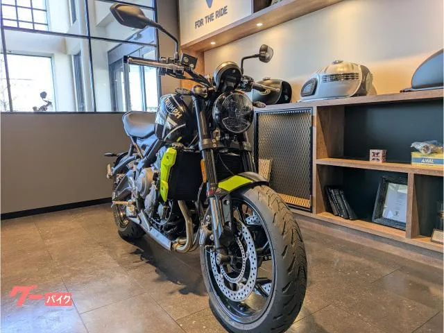 TRIUMPH 660 2024 — миниатюра 2