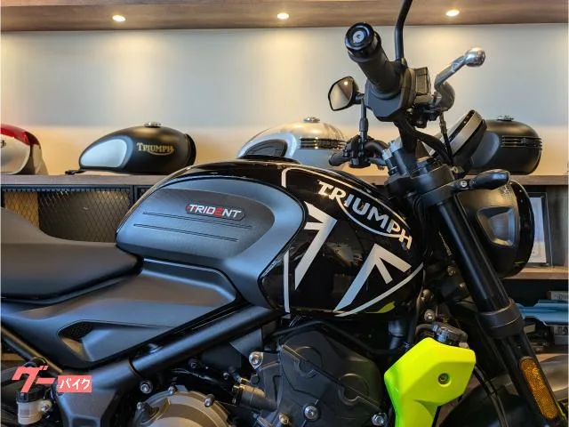 TRIUMPH 660 2024 — миниатюра 3
