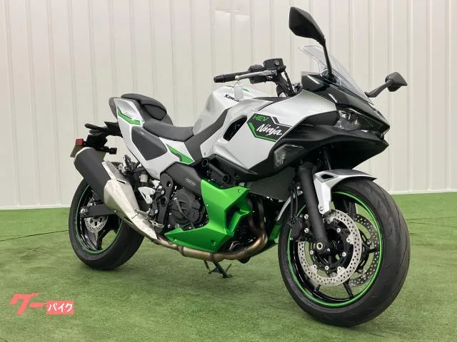 Kawasaki Ninja 7 Hybrid 2 e ABS ETC2.0 2024 — миниатюра 5
