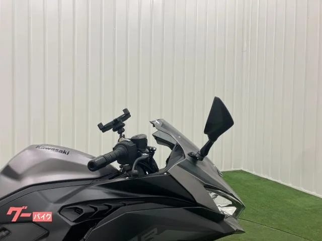 Kawasaki Ninja ZX-4R SE BEET USB ABS ETC2.0 2025 — миниатюра 5