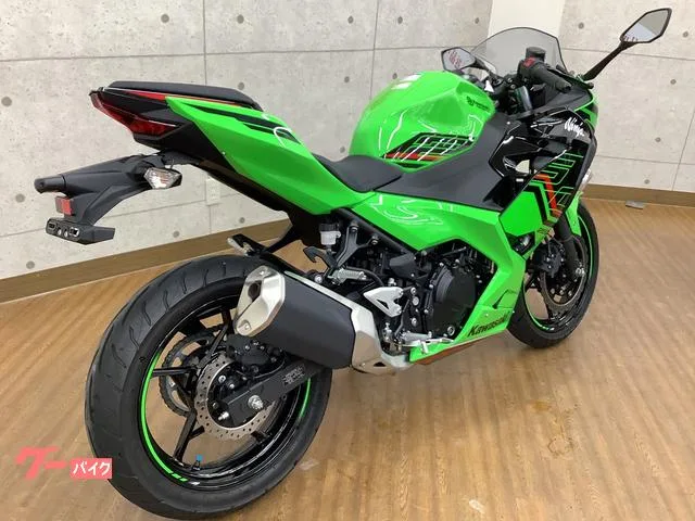 Kawasaki Ninja 250 2023 — миниатюра 5
