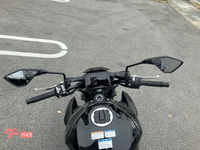 Kawasaki Z900 ABS ETC 2025 — миниатюра 5