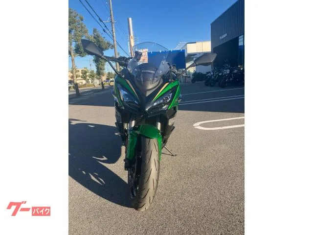 Kawasaki Ninja 1100 SX SE 2025 — миниатюра 5