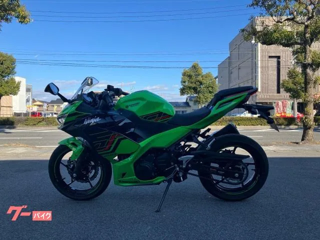 Kawasaki Ninja 400 2023 — миниатюра 5