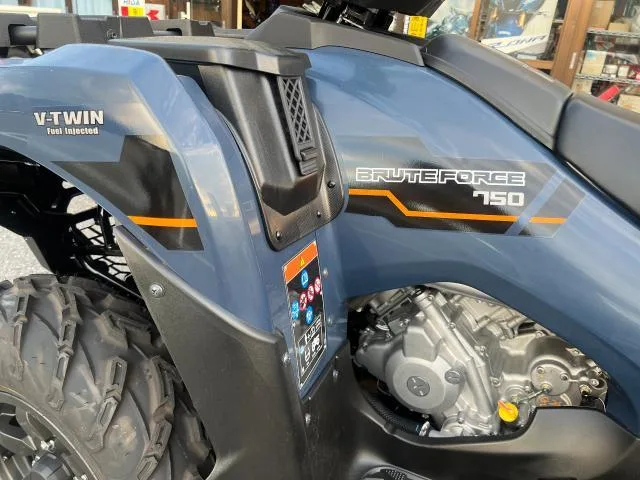 Buggy Kawasaki 750EPS 2026 2026 — миниатюра 3