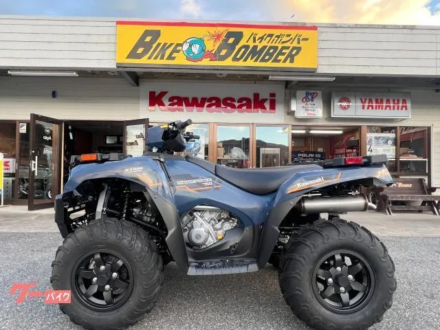 Buggy Kawasaki 750EPS 2026 2026 — миниатюра 4