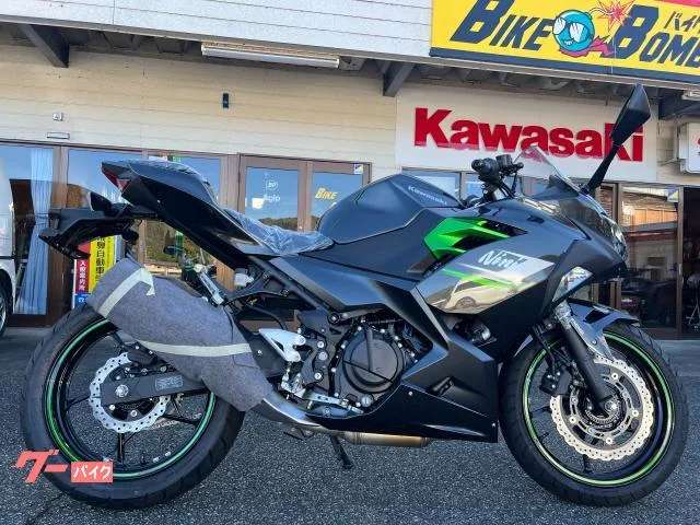 Kawasaki Ninja 250 2023 2023 — миниатюра 2