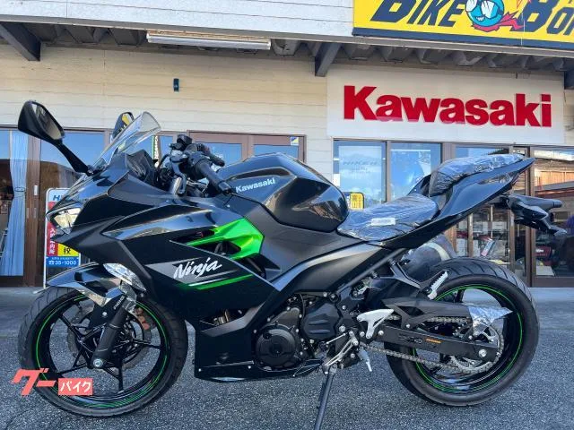 Kawasaki Ninja 250 2023 2023 — фото 1, купить с доставкой в Москву