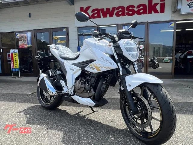 Suzuki GIXXER 250 2026NEW 2026 — миниатюра 2