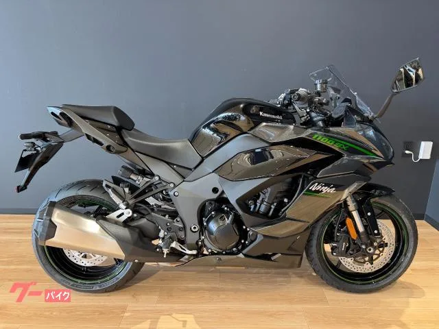 Kawasaki Ninja 1100 SX 3 ETC2.0 USB 2025 — фото 1, купить с доставкой в Москву