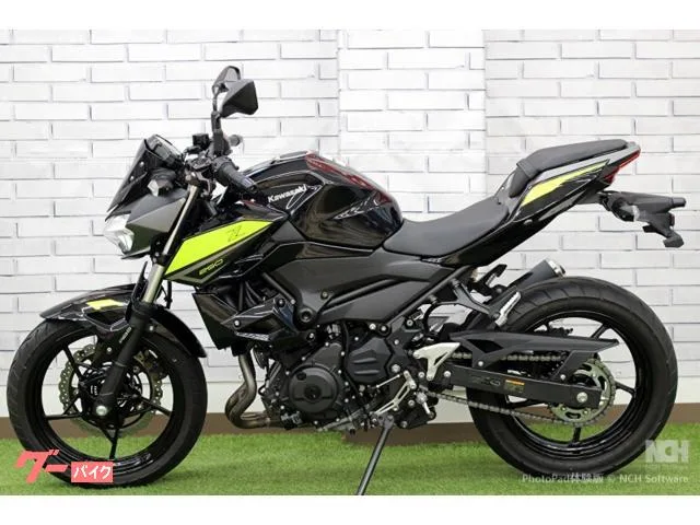 Kawasaki Z250 EX250P 2022 — миниатюра 3
