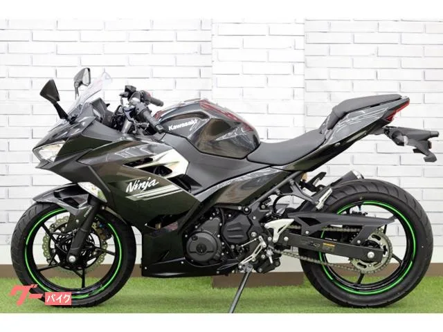 Kawasaki Ninja 250 2022 — миниатюра 3