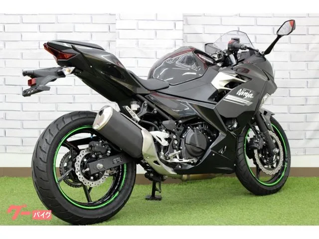 Kawasaki Ninja 250 2022 — миниатюра 4