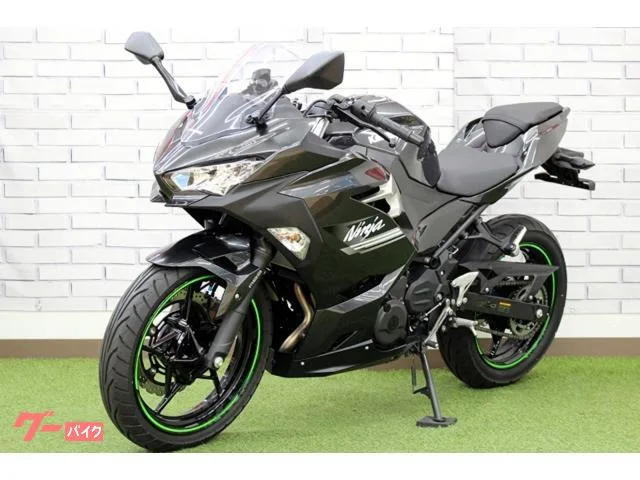 Kawasaki Ninja 250 2022 — миниатюра 5