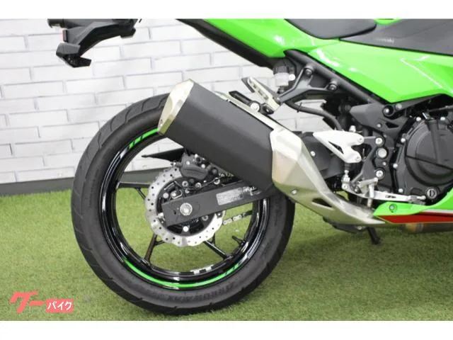 Kawasaki Ninja 250 2024 — миниатюра 3