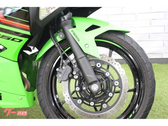 Kawasaki Ninja 250 2024 — миниатюра 4