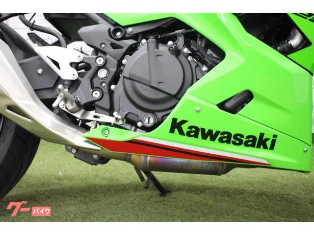Kawasaki Ninja 250 2024 — миниатюра 5
