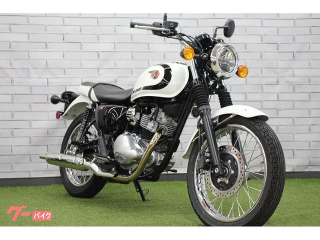 Kawasaki W230 2025 — фото 1, купить с доставкой в Москву