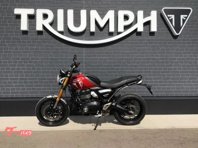 TRIUMPH 400 2025 — миниатюра 2
