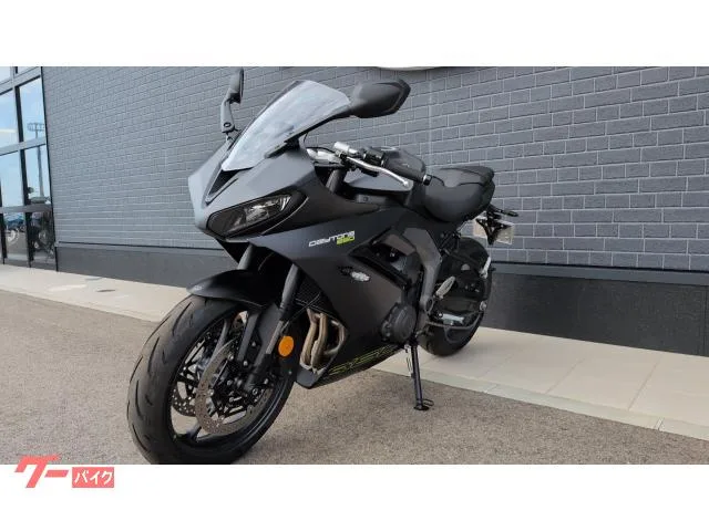 TRIUMPH 660 2025 — миниатюра 4