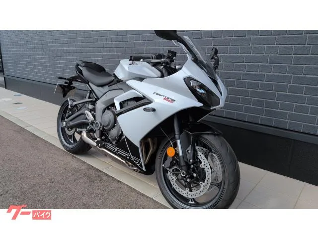 TRIUMPH 660 2025 — миниатюра 2