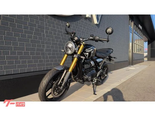 TRIUMPH 400 2025 — миниатюра 2