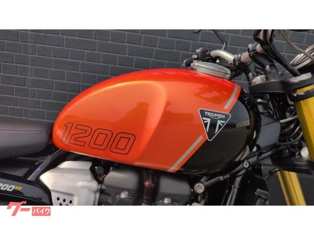 TRIUMPH 1200XE 2024 — миниатюра 4